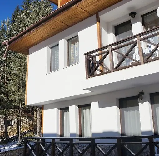 Boriki Complex Vilă Pamporovo